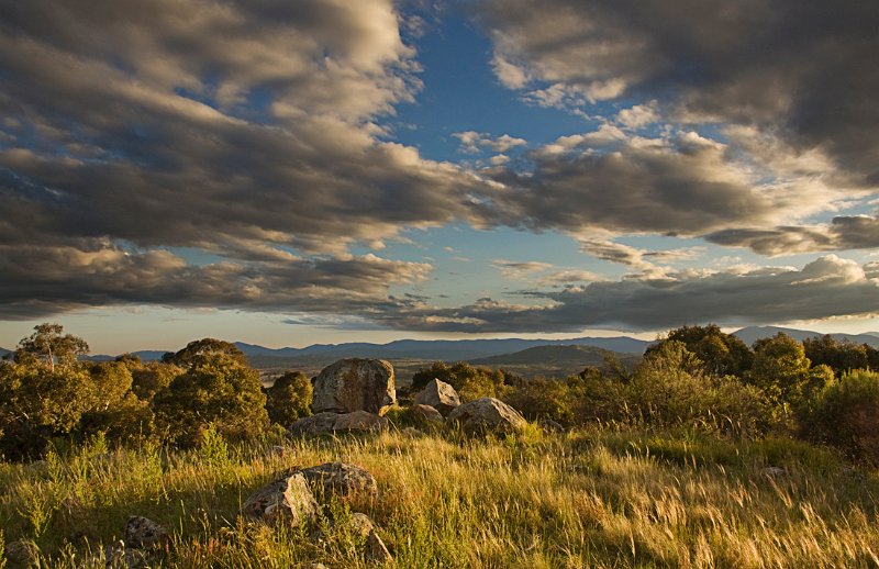 evening light pinnacle.jpg